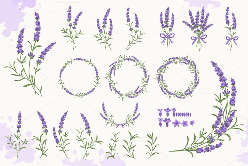 Lavender Set – MasterBundles