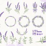 Lavender Set 