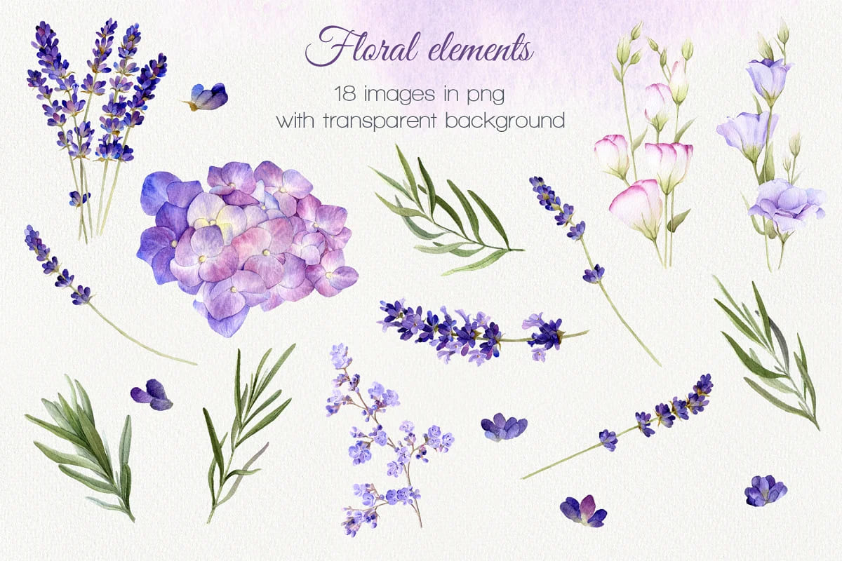 lilac provence watercolor collection, floral elements.