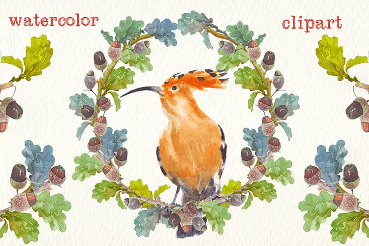 live the forest watercolor clipart set. hoopoe bird.