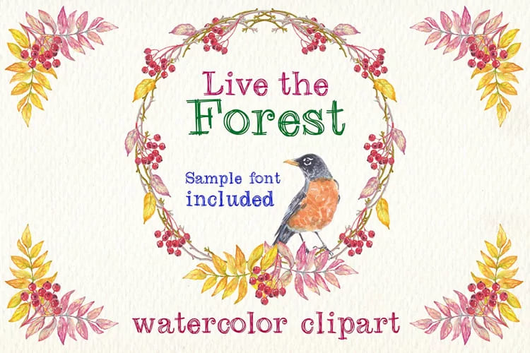 live the forest watercolor clipart set. birds leaves font, bird in a wreth.