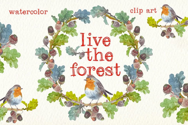 live the forest watercolor clipart set. birds leaves illustrations.