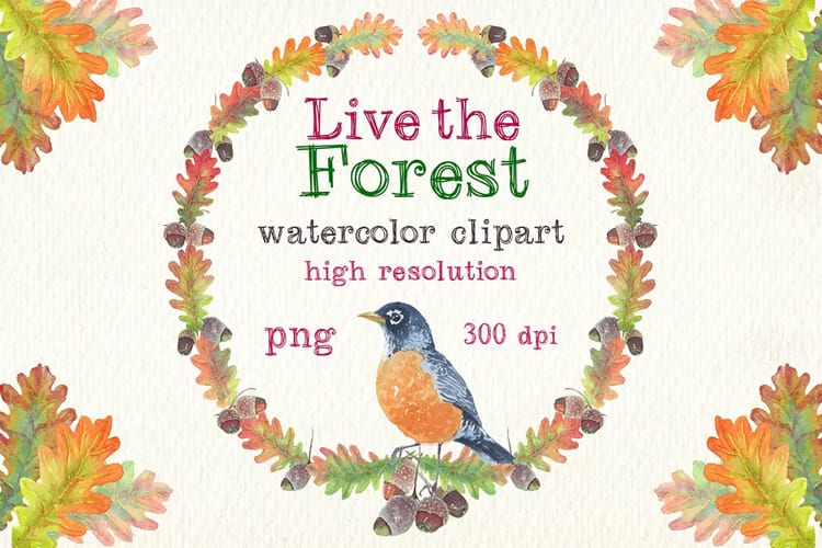 live the forest watercolor clipart set. birds leaves graphics.