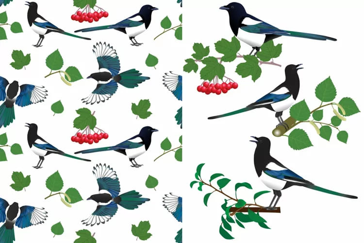 magpie pattern for your design.