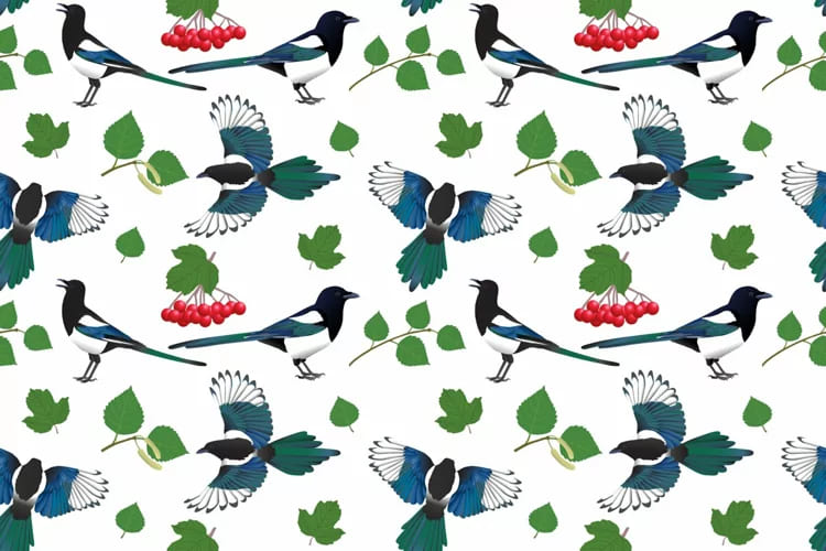 magpie seamless pattern.