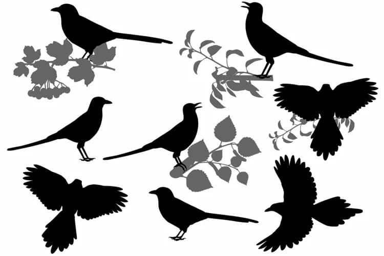 magpie pattern silhouettes.