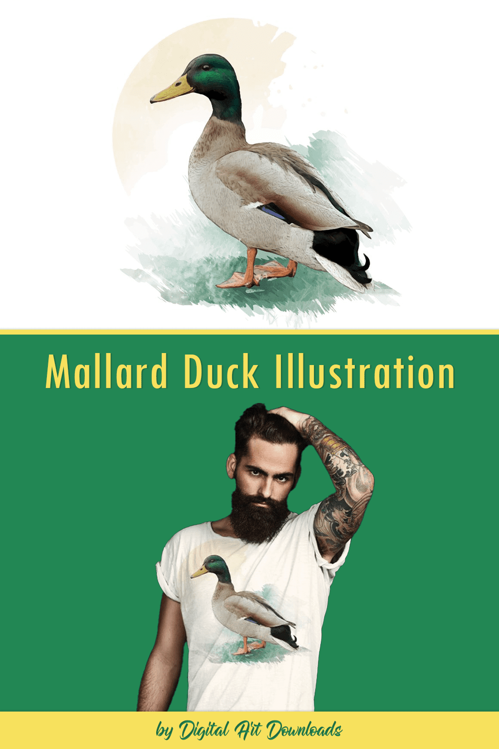 Mallard Duck Illustration pinterest image.
