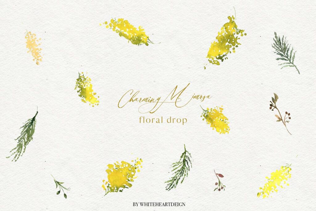 Charming Mimosa - Yellow Flowers PNG – MasterBundles