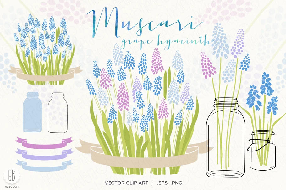 Muscari, Grape Hyacinth, Flowers facebook image.