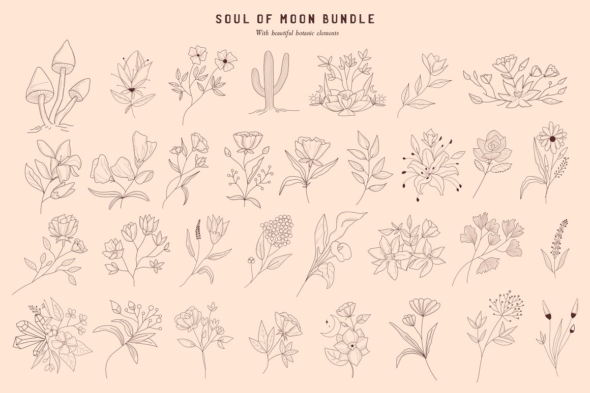 Soul of moon bundle with beautiful botanic elements.