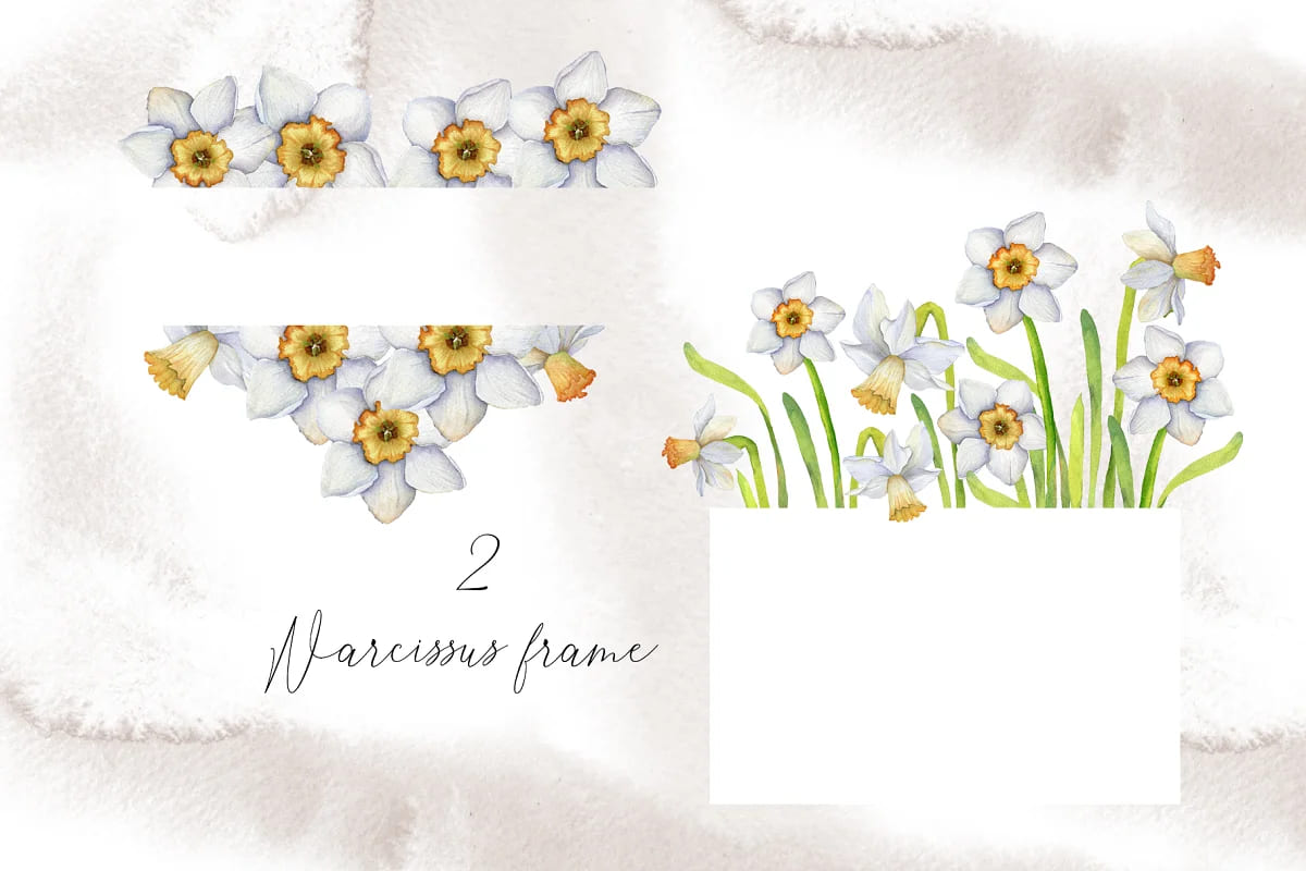 narcissus mood and little things, narcissus frames.