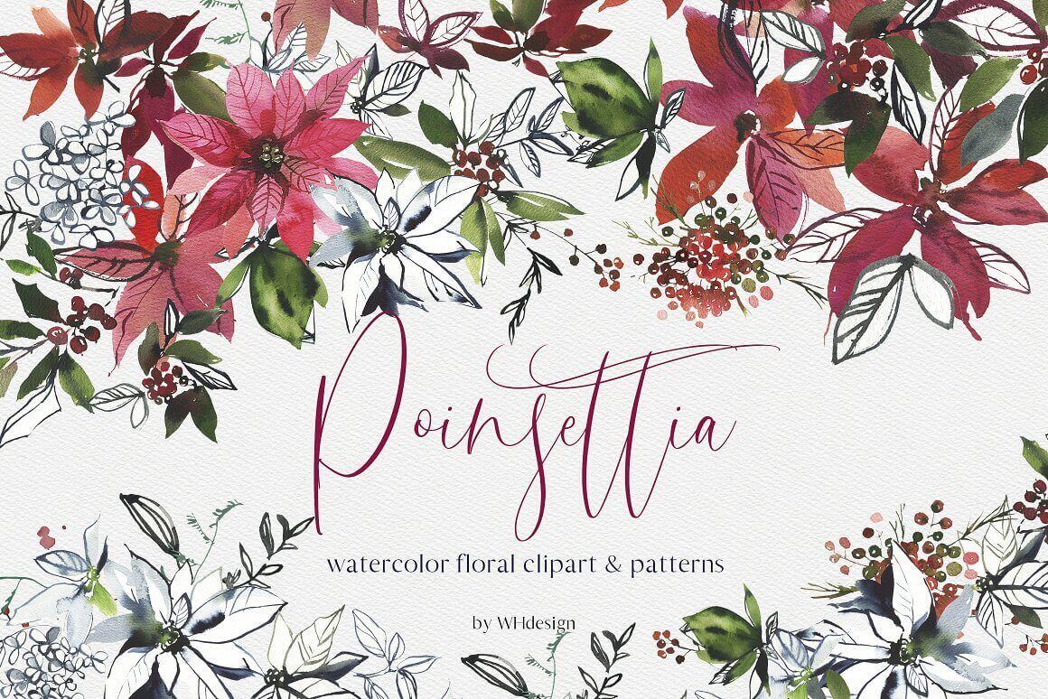 Poinsettia watercolor floral clipart and patterns.
