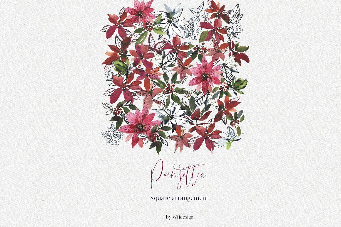 Poinsettia squre arrangement on the white background.
