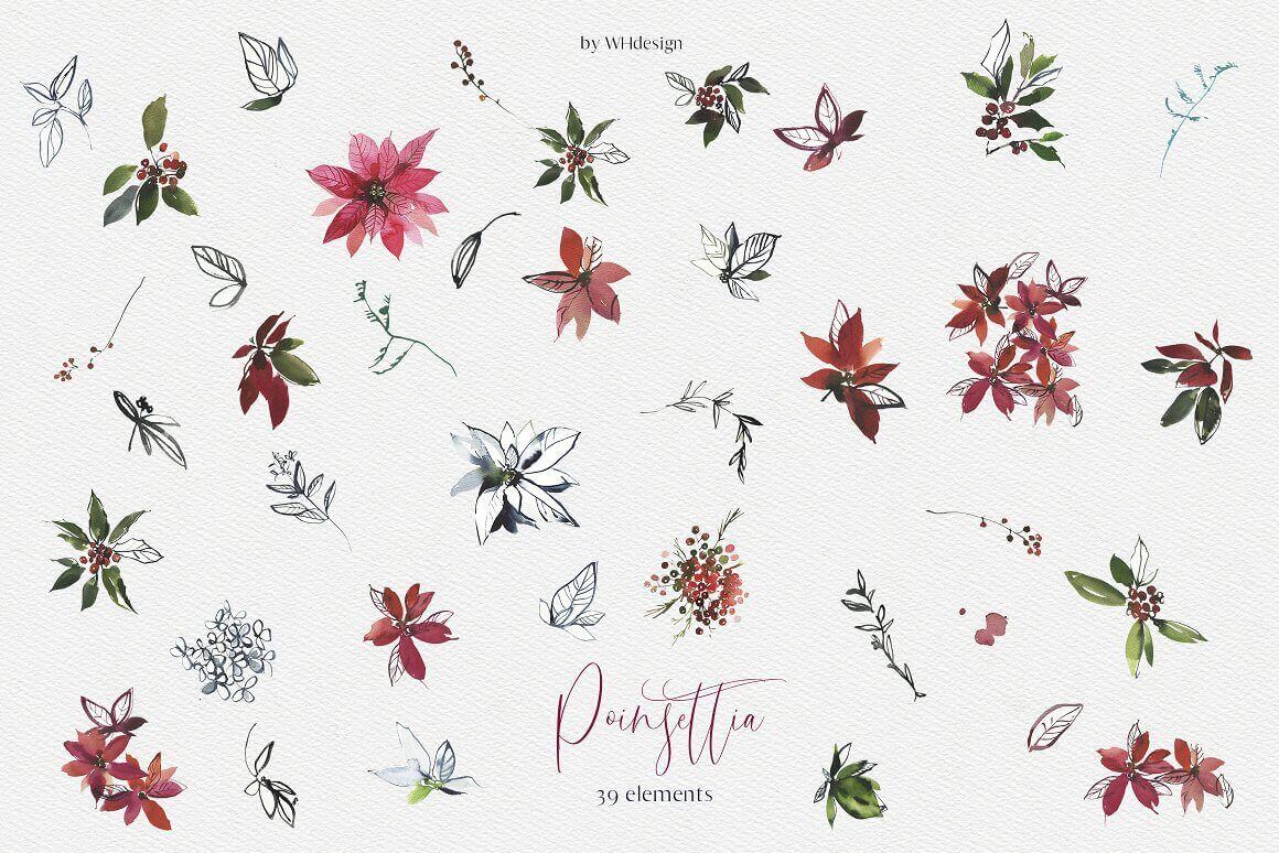 39 elements of Christmas Poinsettia Clipart.
