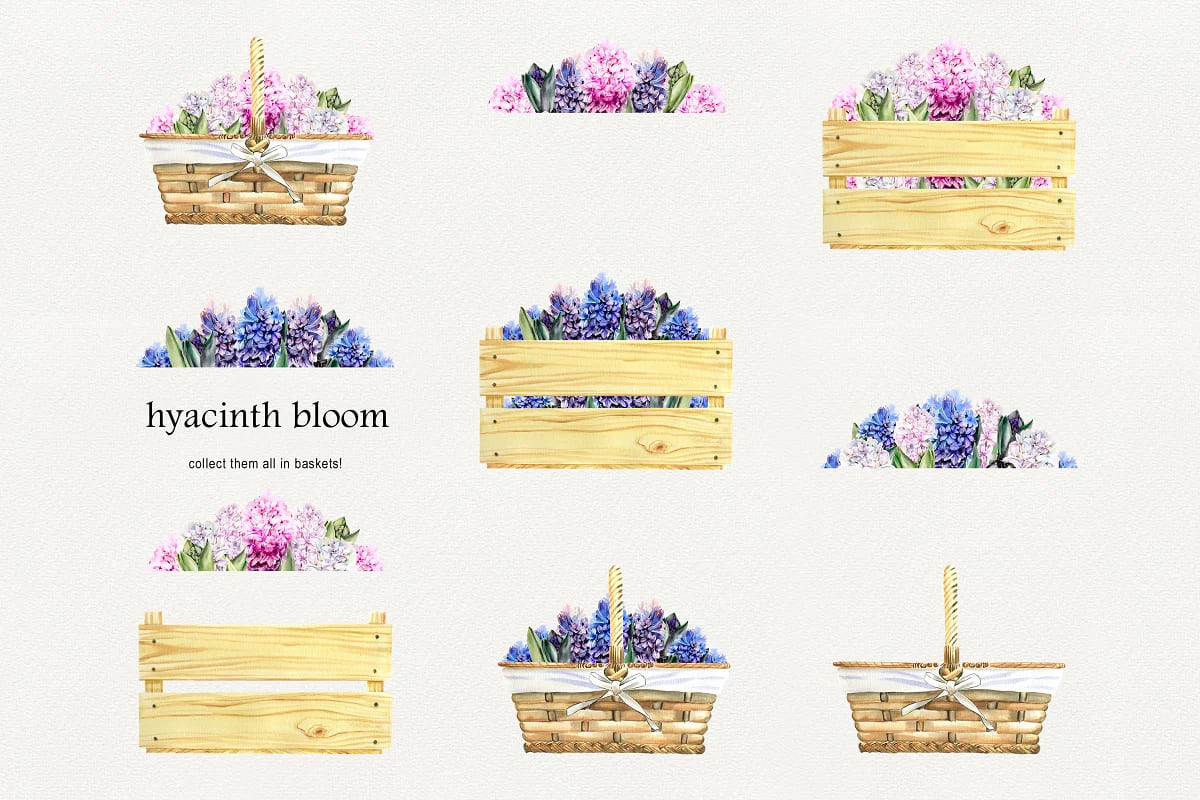 romantic hyacinths arrangements.