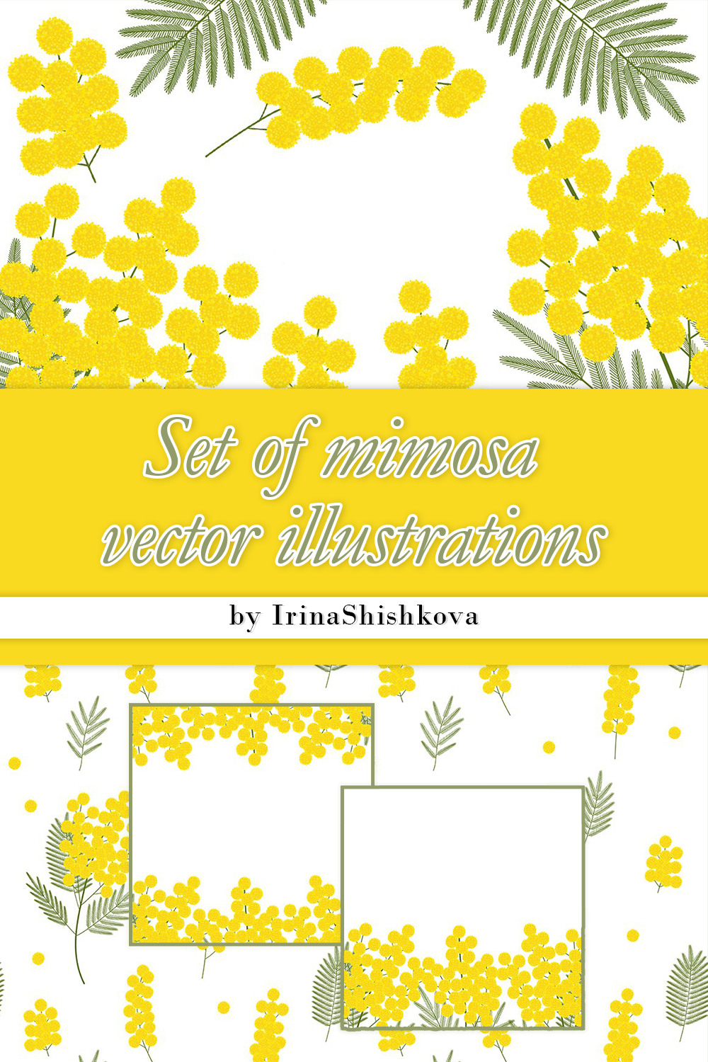 Set of mimosa vector illustrations of pinterest.