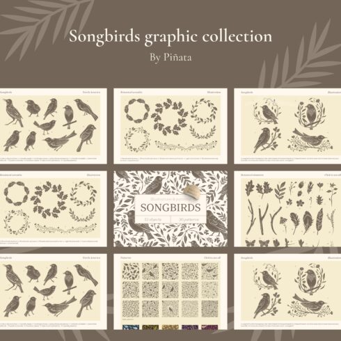Songbirds Graphic Collection cover image.