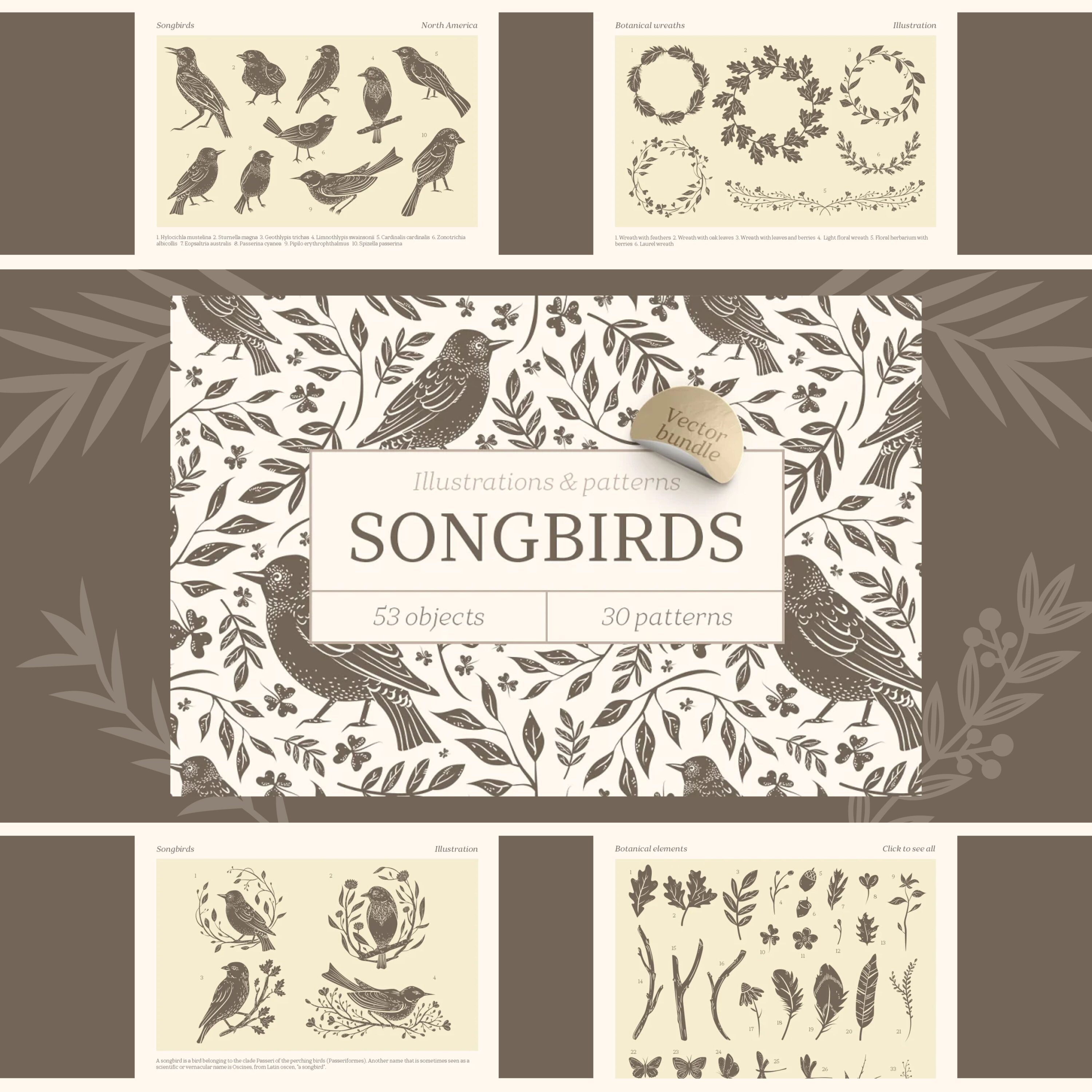 songbirds graphic collection.