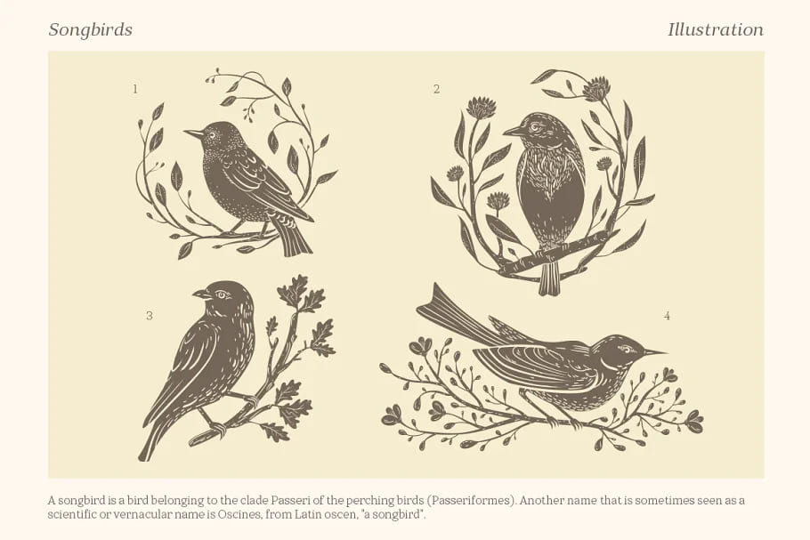 songbirds graphic collection, compositions.