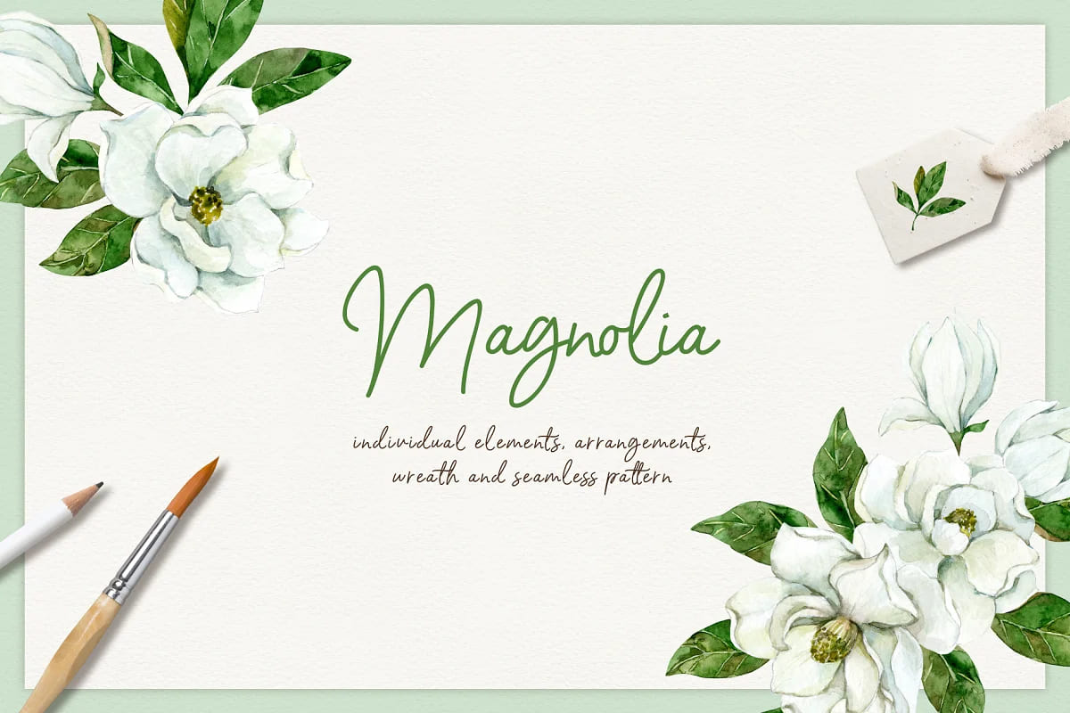 spring flowers magnolia clipart.