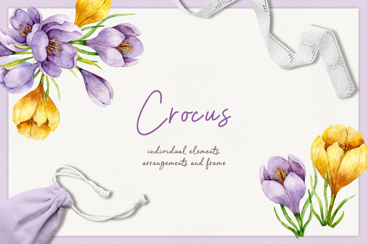 spring flowers crocus illustrations.