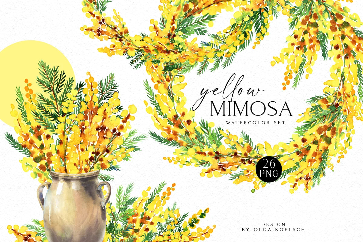 spring flowers bundle, yellow mimosa set.