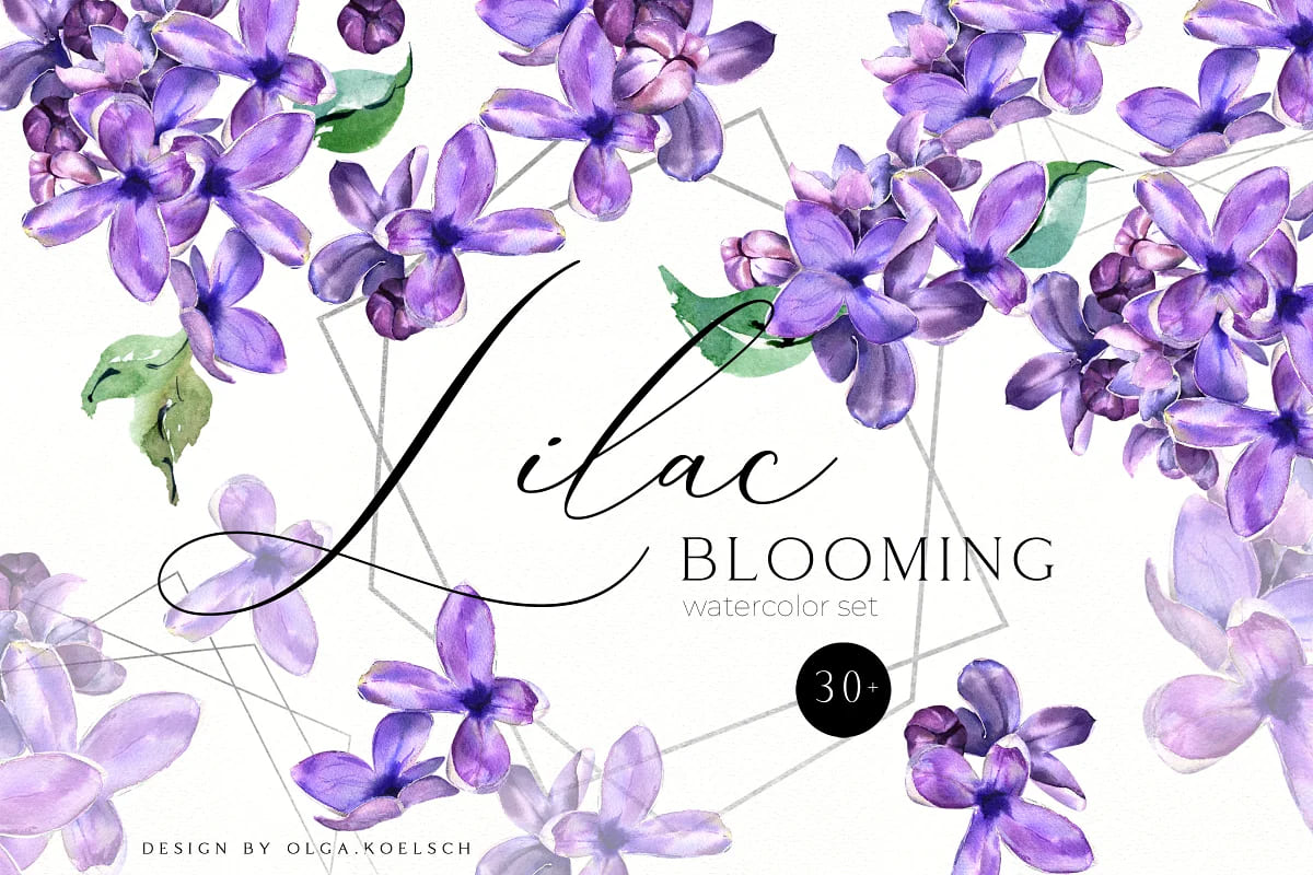 spring flowers bundle, lilac blooming collection.