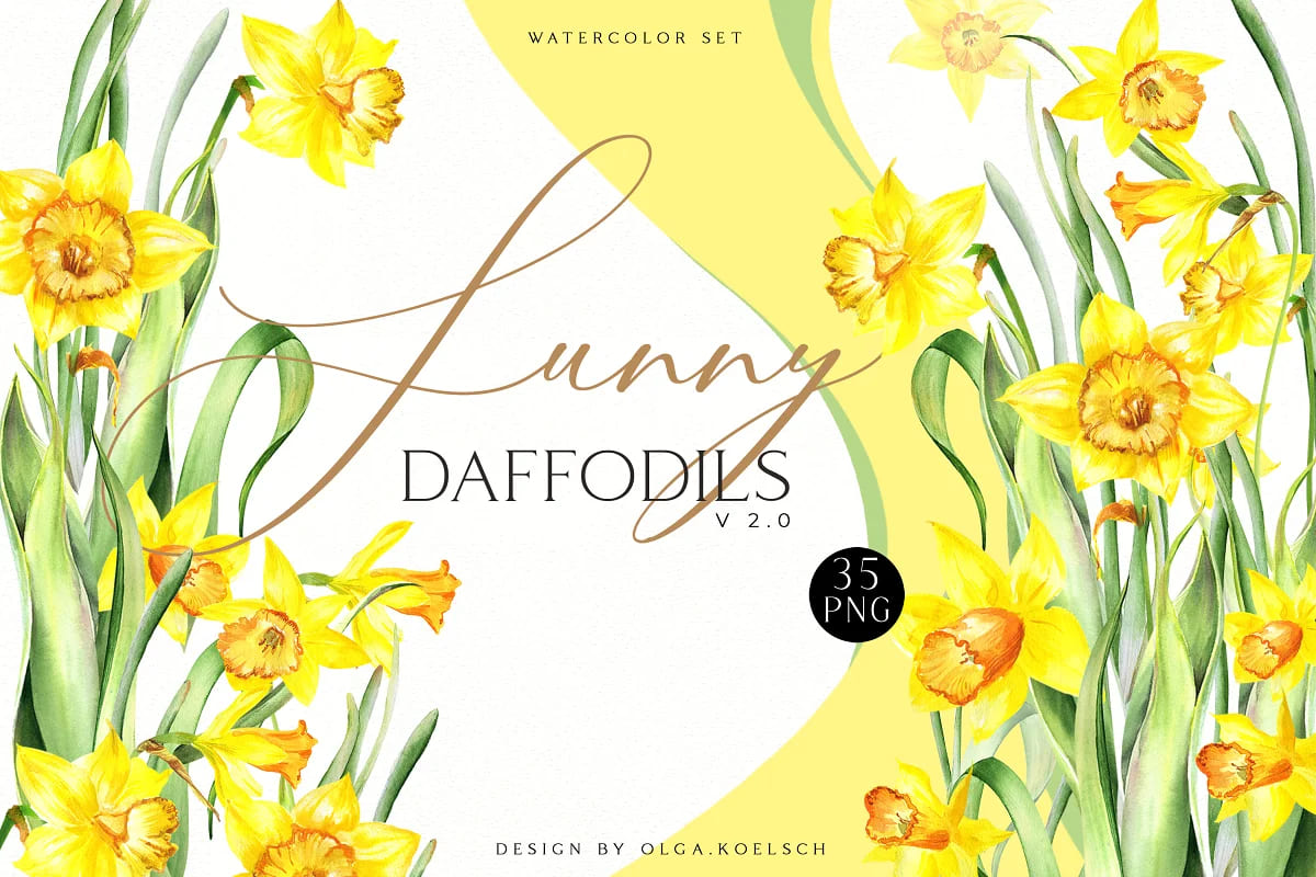 spring flowers bundle, sunny daffodils set.