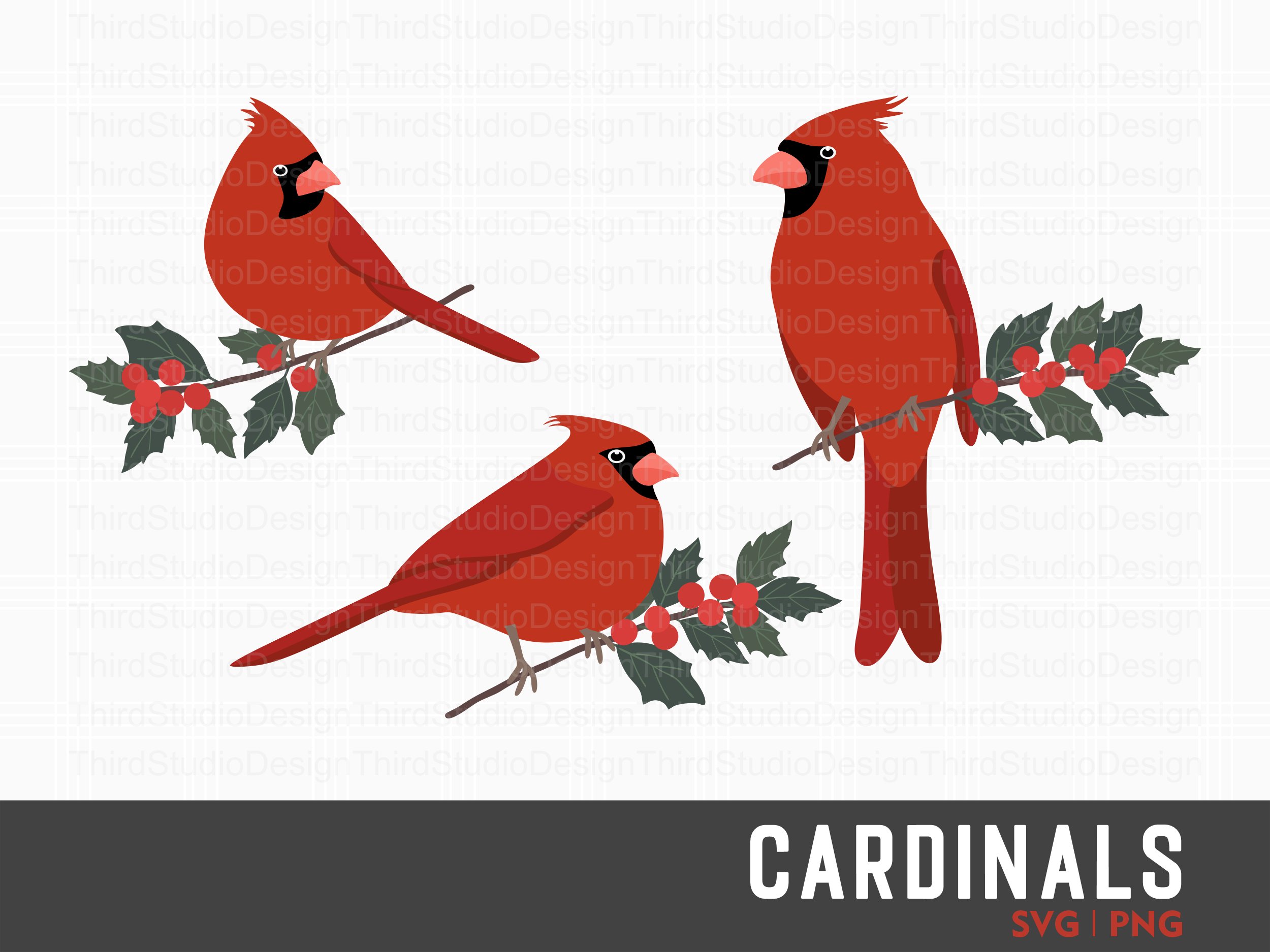 Three cardinal birds sitting on a branch with holly.