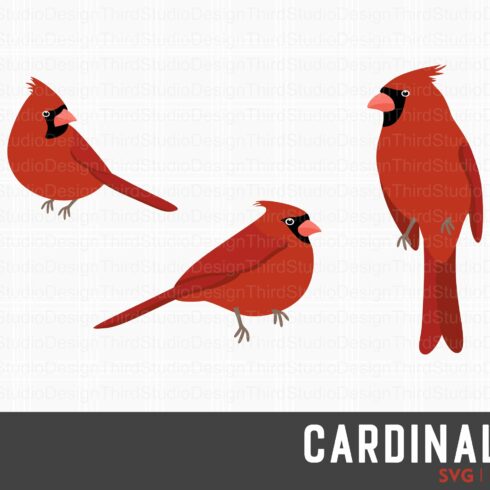 Cardinal Bird Svg Bundle Memorial Svg | Master Bundles