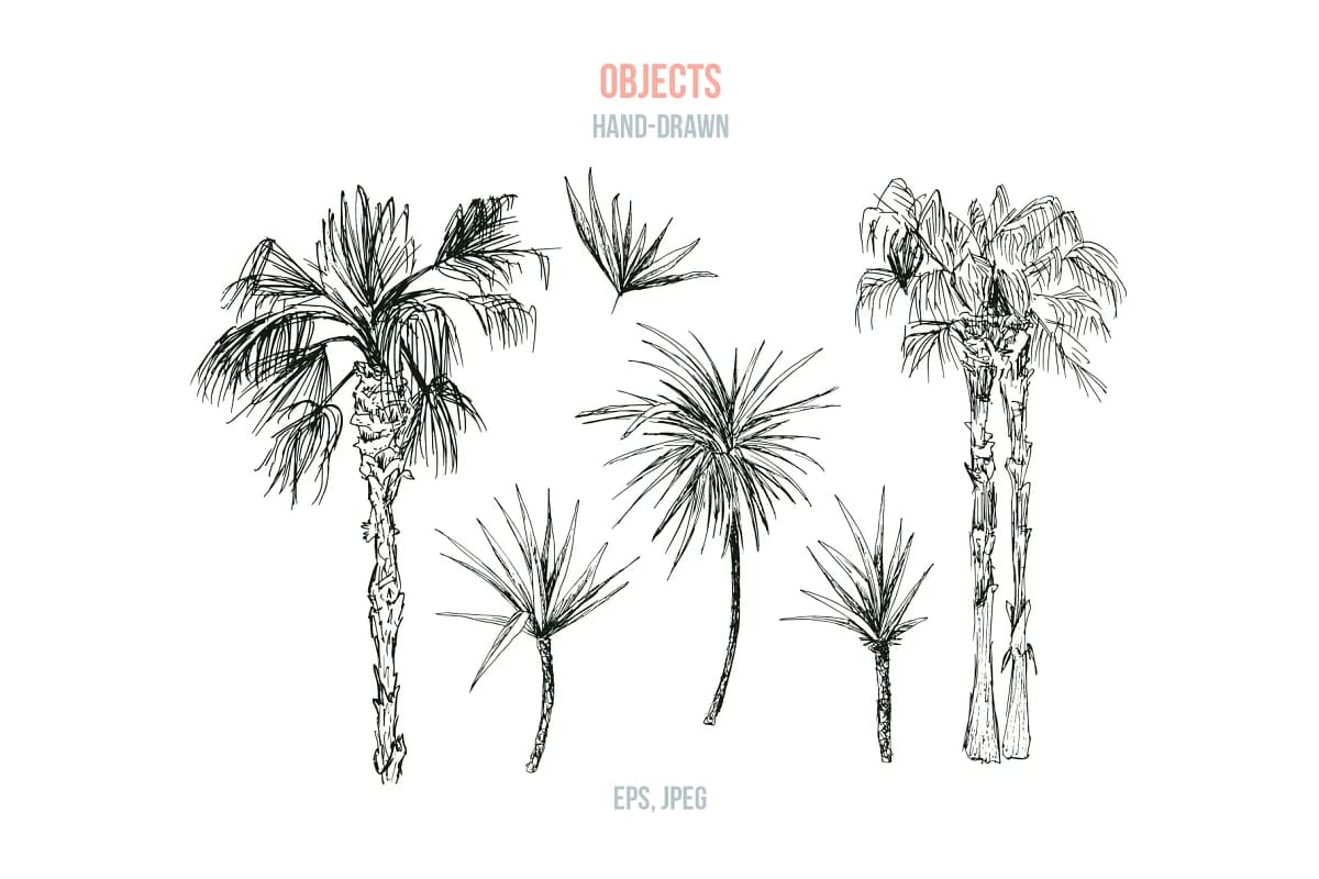 tropical paradise, hand drawn objects.