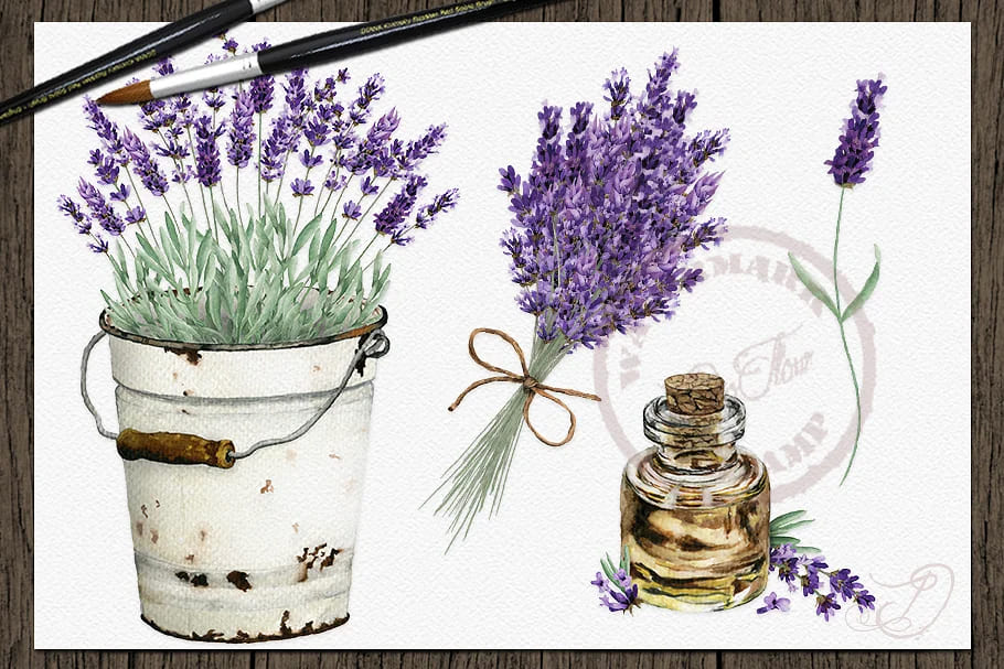 vintage lavender watercolor clipart for design.