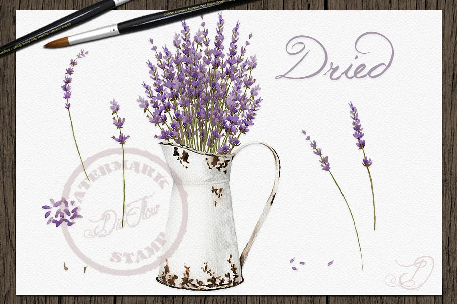 vintage lavender watercolor clipart, bouquet of lavender.