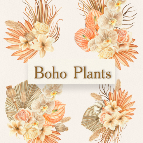 watercolor boho collection cover image