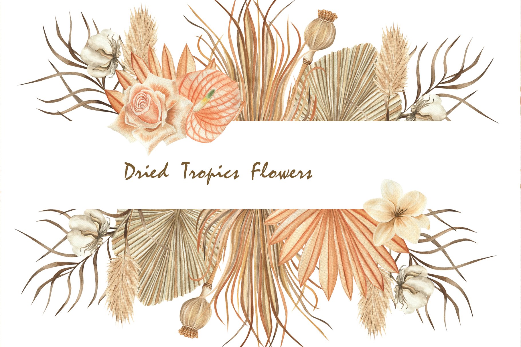 watercolor boho collection tropic flowers