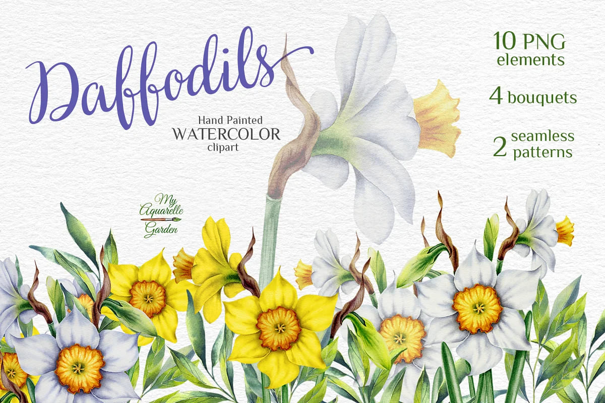 Watercolor Daffodils Set facebook image.