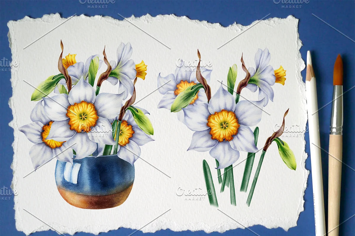 watercolor daffodils set compositions.