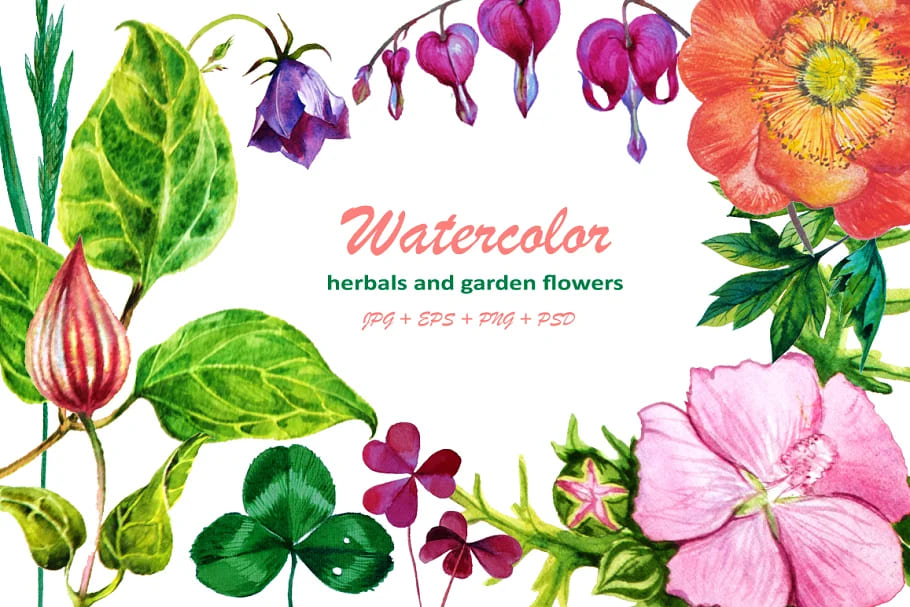Watercolor Herbals and Flowers facebook image.