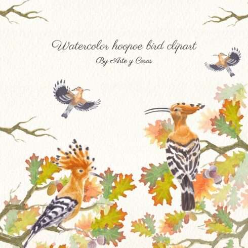 Watercolor Hoopoe Bird Clipart cover image.