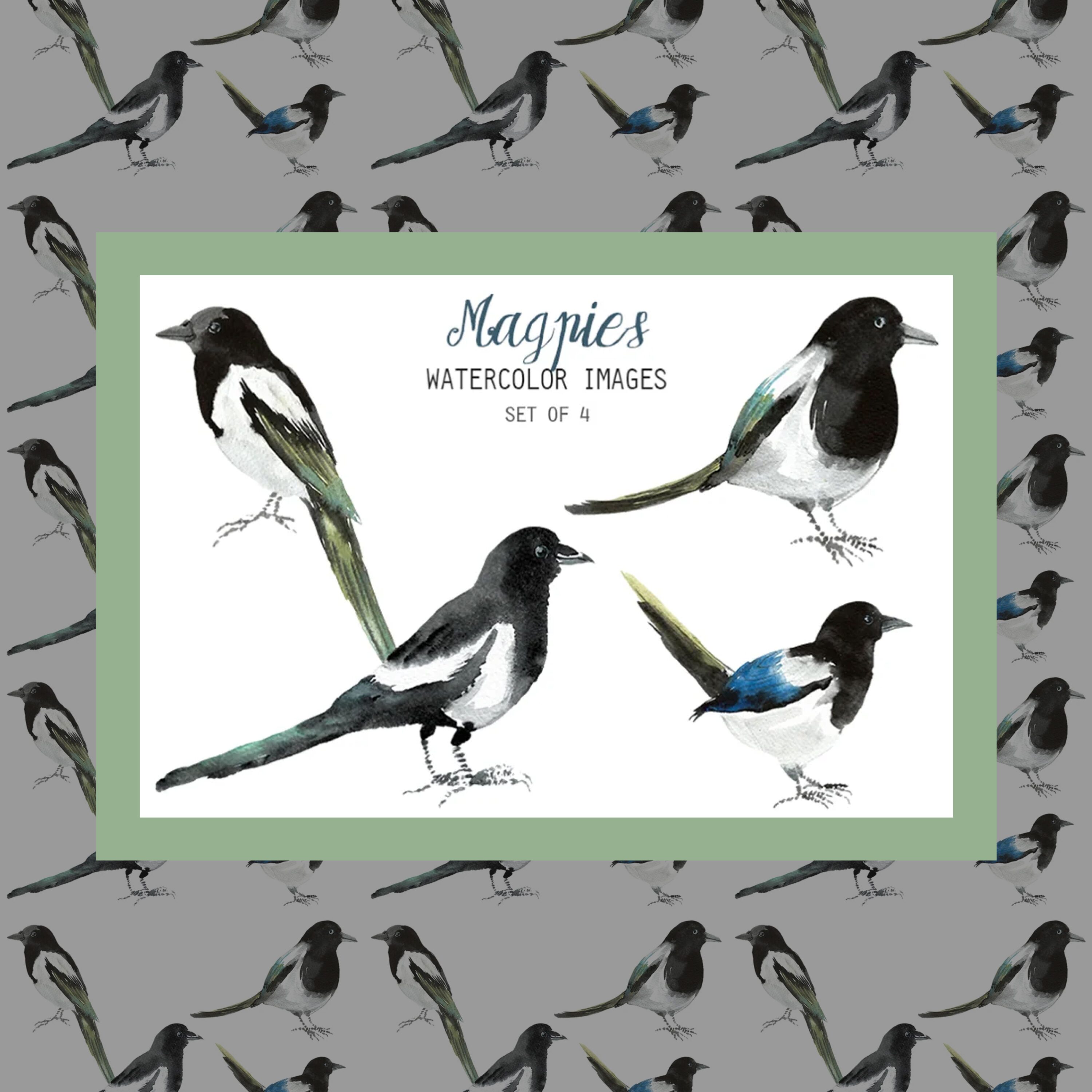 watercolor magpies clipart.