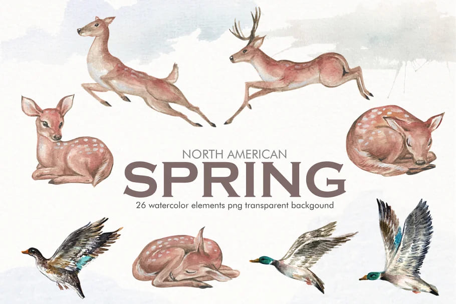 watercolor north american spring, animals.