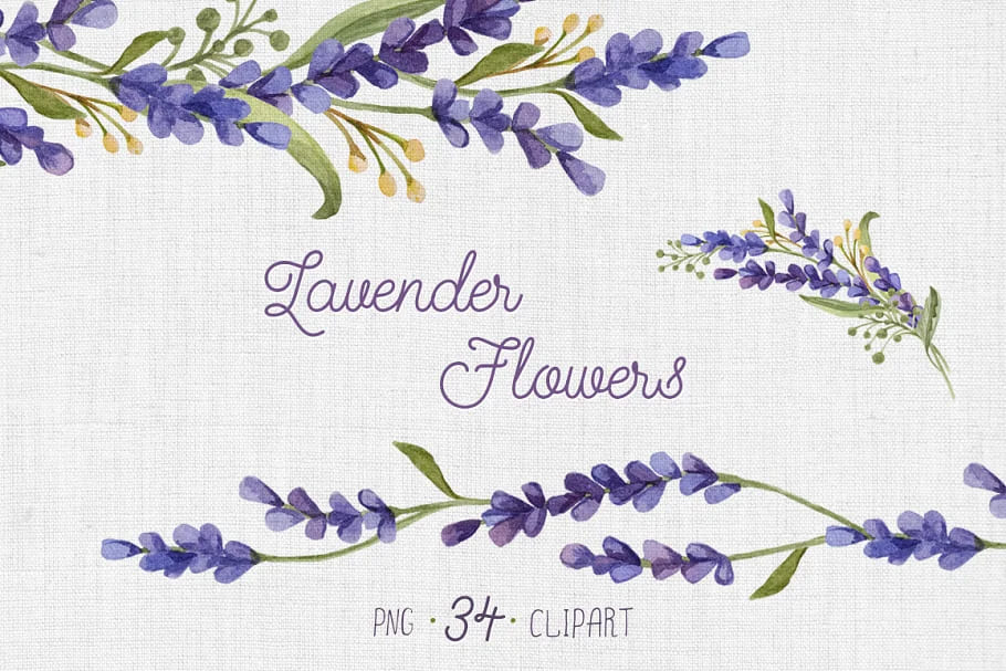 Watercolor Set with Lavender Flowers facebook image.