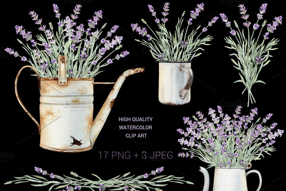 watercolor vintage lavender clipart bouquets on dark background.