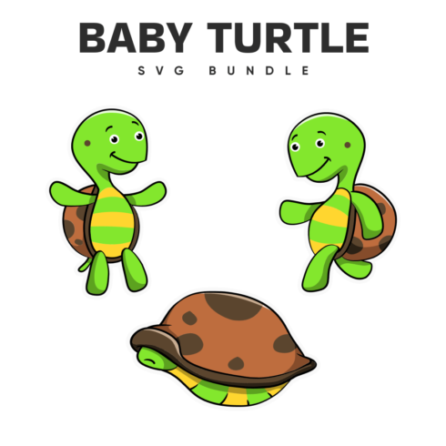Three green baby turtles with a title.