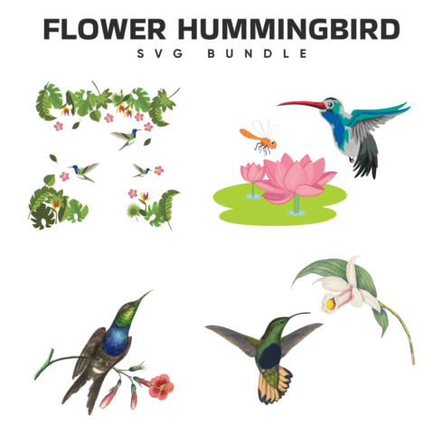 Preview flower hummingbird svg bundle.