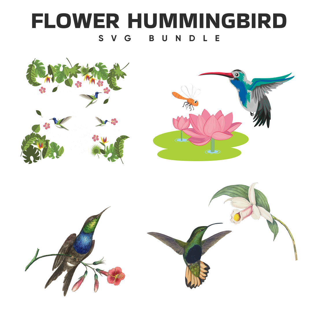 Preview flower hummingbird svg bundle.