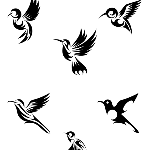 Hummingbird Outline SVG Files | Master Bundles