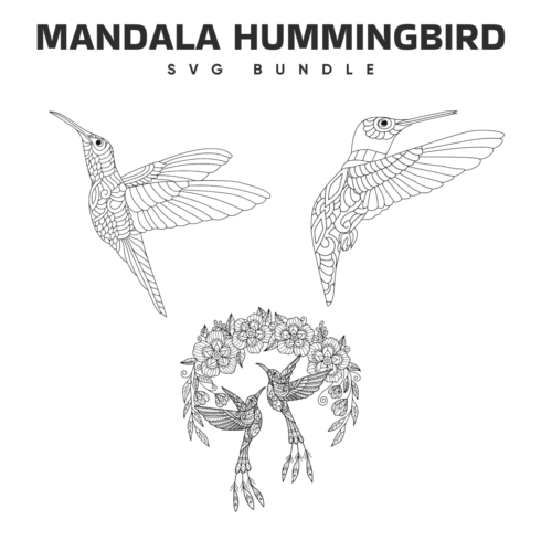 Prints of mandala hummingbird svg bundle.
