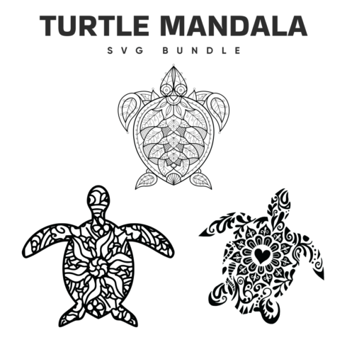 Turtle and a turtle with the words turtle mandala on it.