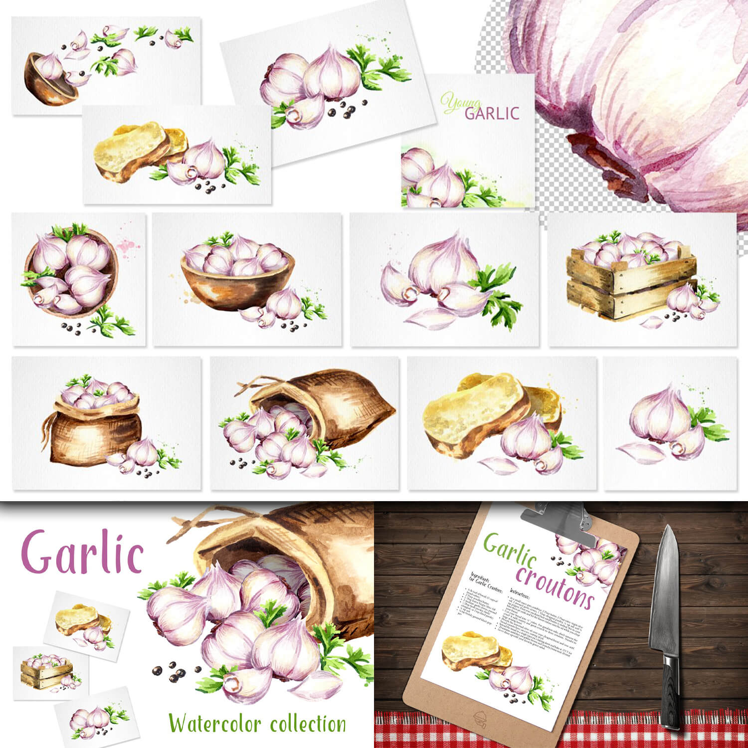 Garlic Watercolor Collection.